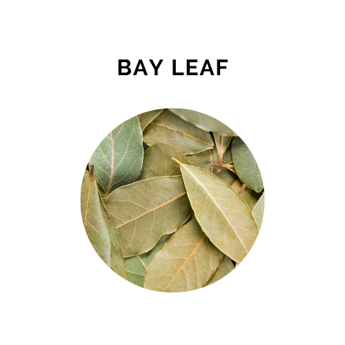 BAY LEAF Essential Oil - 10 ml
