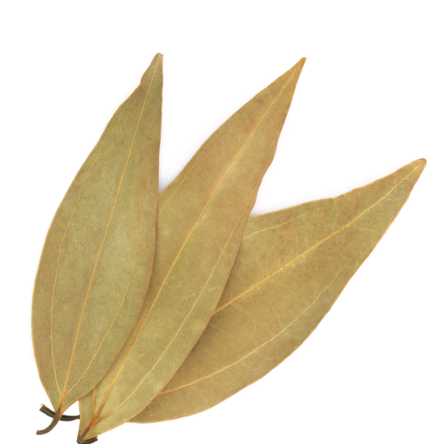 BAY LEAF Essential Oil - 10 ml